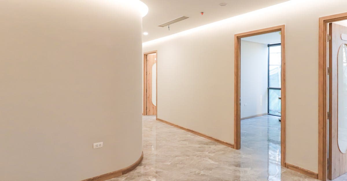 Ceilings & coving